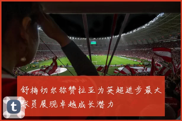 舒梅切尔称赞拉亚为英超进步最大球员展现卓越成长潜力